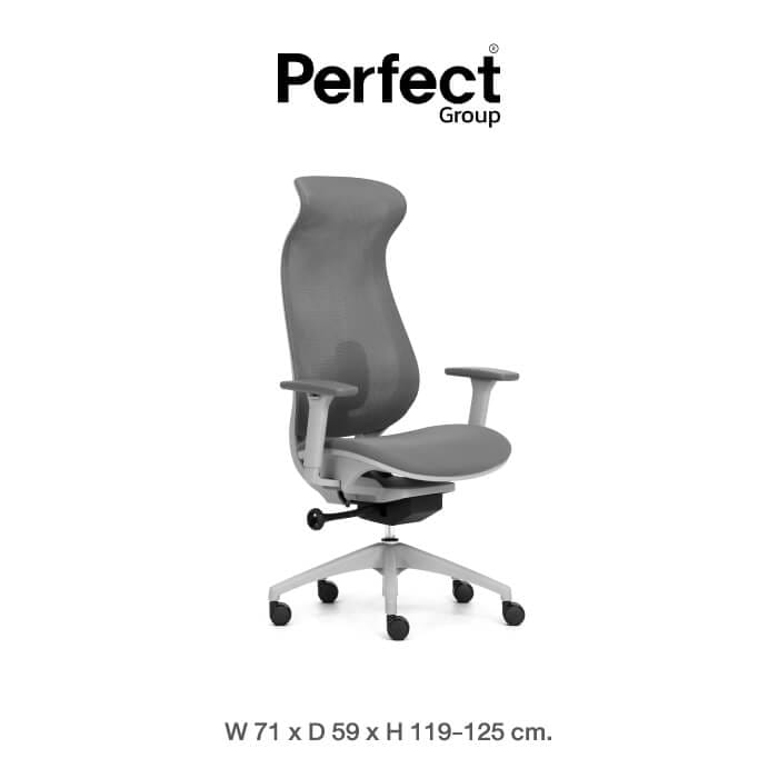 เก้าอี้ทำงานเพื่อสุขภาพ Perfect รุ่น 6237A-HS สีเทา